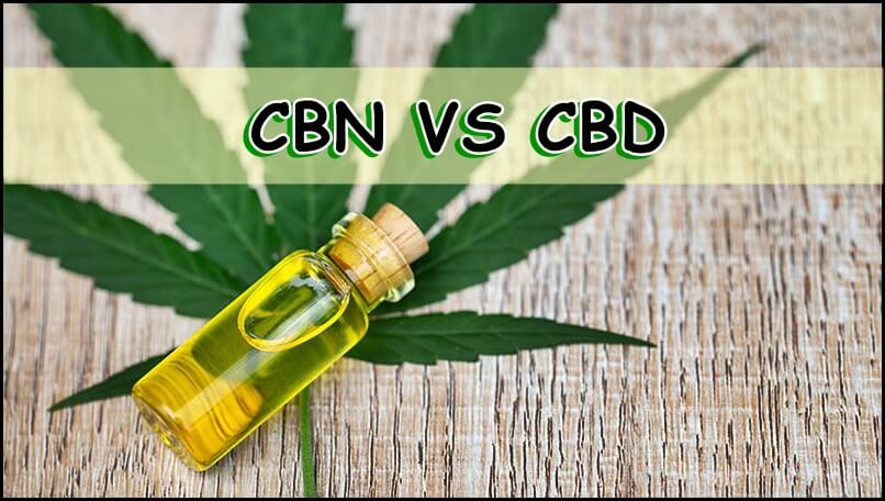 CBN vs. CBD - What's the Difference? | New Phase Blends CBD